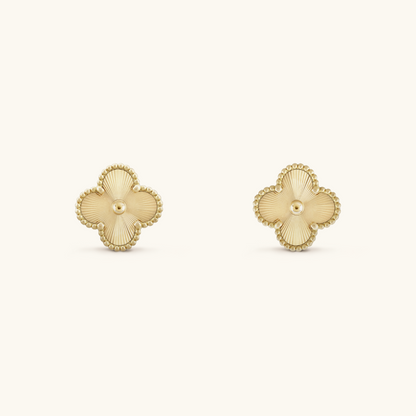 Clover Brincos