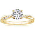 The Jane Anel | Ouro