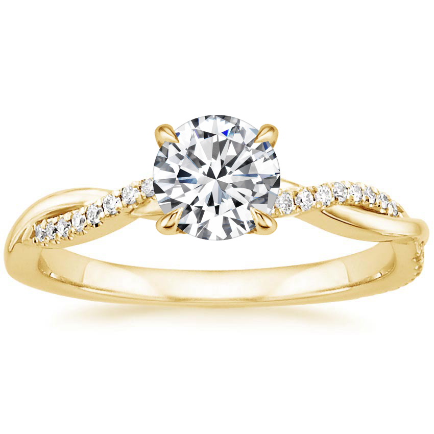 The Jane Anel | Ouro