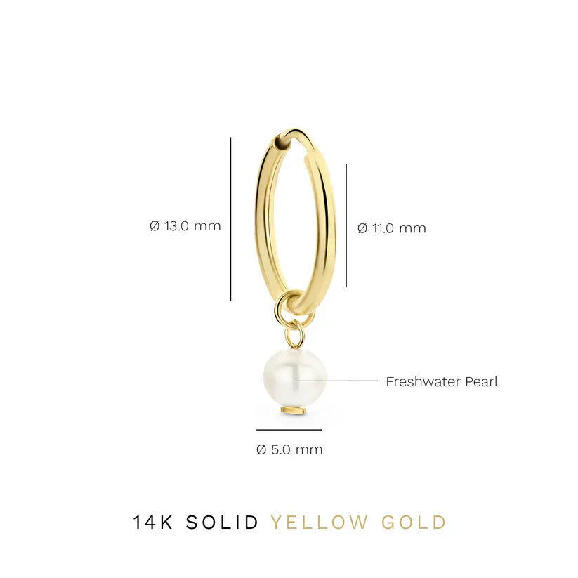Delia Crest Brincos | Ouro