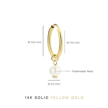 Delia Crest Brincos | Ouro