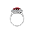 Scarlet Crown Rubi Anel | Branco Ouro